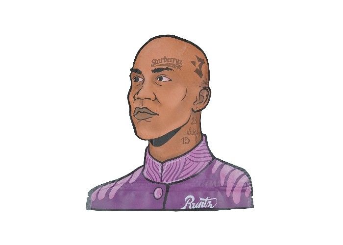 Изготовленные на заказ напечатанные 3.5g умирают отрезали Ziplock доказательства ребенка доказательства запаха сумки Mylar штейновый